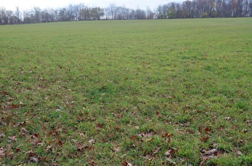 Property photo 46 - 80 Acres & Home - Property Offered in 4 Tracts from 2.3 to 30.0 Acres